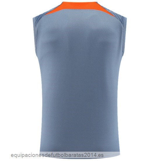 Nuevo Entrenamiento Sin Mangas Inter Milan 23/24 Gris Baratas